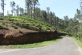 A beautiful landscape with a road with blue sky.