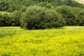 Landscape in France at spring Royalty Free Stock Photo