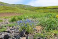 Landscape French Auvergne Massif du Sancy