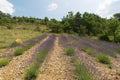 Landscape in the French Drome