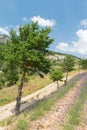 Landscape in the French Drome with tree Royalty Free Stock Photo