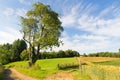 Landscape French Limousin