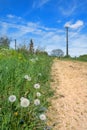 Landscape French Limousin