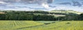 landscape in french morvan with sunflowers under blue sky with clouds Royalty Free Stock Photo