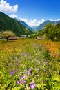 Landscape in front of Swiss mountains