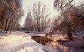 Landscape frozen river near a forest in the winter. View of frozen river in park. Brook in snowy landscape. Small river in winter Royalty Free Stock Photo