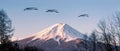 Landscape of Fuji Mountain with Red-crowned crane flying on blue sky, Japan travel concept