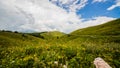 Landscape in the Gagra Royalty Free Stock Photo