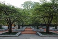 Landscape Garden Park with tree regularly planted