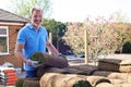 Landscape Gardener Laying Turf For New Lawn