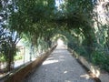 Landscape of the gardens of the Alhambra