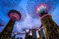 Landscape of Gardens by the Bay in singapore