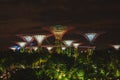 Landscape of the Gardens by the Bay surrounded by lights at night in Singapore Royalty Free Stock Photo