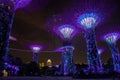 Landscape of the Gardens by the Bay surrounded by lights at night in Singapore Royalty Free Stock Photo