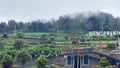 Landscape gardens and parks of the Dieng Indonesia tourism complex
