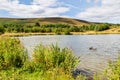 Garn Lakes Local Nature Reserve in Blaenavon, Wales, UK