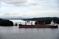 Landscape of the Gatun Lake on a cloudy day. Royalty Free Stock Photo