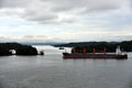 Landscape of the Gatun Lake on a cloudy day. Royalty Free Stock Photo