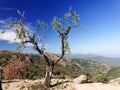Landscape of Gennargentu mountain Royalty Free Stock Photo
