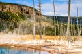 Landscape Geothermal Area Yellowstone Park Royalty Free Stock Photo