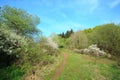 Landscape German Eifel