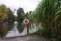 A lifebuoy hangs near a fence and a Miscanthus x giganteus plant on the banks of the Spree River in October. Royalty Free Stock Photo