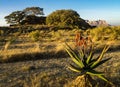 Landscape in Gheralta in Northern Ethiopia, Africa Royalty Free Stock Photo