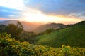 Landscape of golden mountain Royalty Free Stock Photo