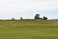 Landscape of a golf course with sea pines in background in Bandon Dunes, Oregon Royalty Free Stock Photo