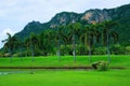 Landscape of a golf field with green grass, water hazard, trees, and mountain under cloudy blue sky 3 Royalty Free Stock Photo