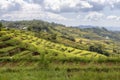 Landscape of Golo Cador