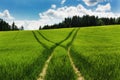 Landscape with grain road.Green meadow. Road in grain. Ruts from the car. Royalty Free Stock Photo