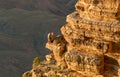 Landscape of Grand Canyon, USA Royalty Free Stock Photo