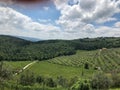 Landscape of grape vines and olive trees Royalty Free Stock Photo