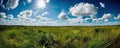 landscape with grass and blue sky. wide angle lens