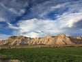 Landscape with grass in Capitol Reef Park Royalty Free Stock Photo