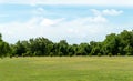 Landscape of grass field and green environment public park with blue sky. Beautiful summer landscape background Royalty Free Stock Photo