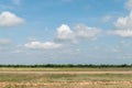 Landscape of grass field and green environment public park with blue sky. Beautiful summer landscape background Royalty Free Stock Photo