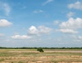 Landscape of grass field and green environment public park with blue sky Royalty Free Stock Photo