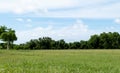 Landscape of grass field and green environment public park with blue sky Royalty Free Stock Photo