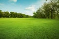 Landscape of grass field and green environment public park use a Royalty Free Stock Photo