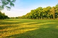 Landscape of grass field and green environment public park use a Royalty Free Stock Photo