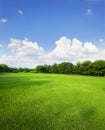 Landscape of grass field and green environment public park use a Royalty Free Stock Photo