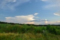 landscape of grass field and green environment public park use as natural background,backdrop Royalty Free Stock Photo