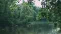 Landscape of grass field and green environment public park use as natural background,backdrop Royalty Free Stock Photo