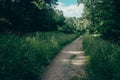 Landscape of grass field and green environment public park use as natural background,backdrop Royalty Free Stock Photo