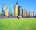 Landscape grass prospects the Shanghai Lujiazui city buildings o