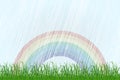 Landscape with grass and rainbow. Vector Royalty Free Stock Photo