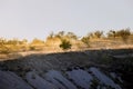 Landscape of grassland in Cappadocia at sunrise Royalty Free Stock Photo