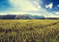 Landscape grassland field with mountain and blue sky, vintage tone